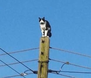 Pekárna Nejeschleba 